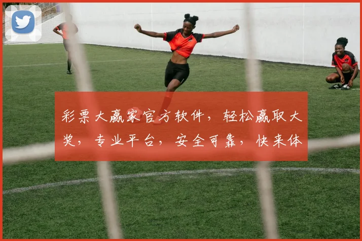 彩票大赢家官方软件，轻松赢取大奖，专业平台，安全可靠，快来体验
