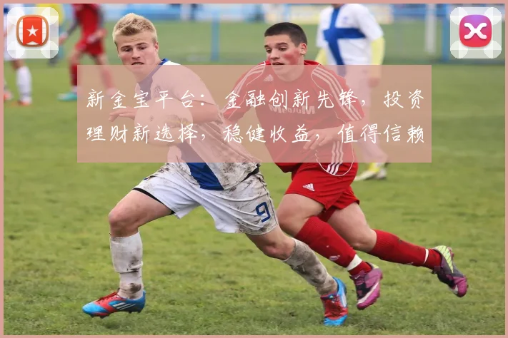 新金宝平台：金融创新先锋，投资理财新选择，稳健收益，值得信赖，助力财富增长