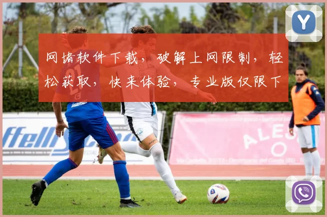 网堵软件下载，破解上网限制，轻松获取，快来体验，专业版仅限下载
