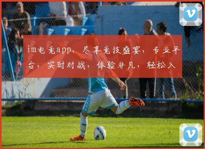 im电竞app，尽享竞技盛宴，专业平台，实时对战，体验非凡，轻松入坑